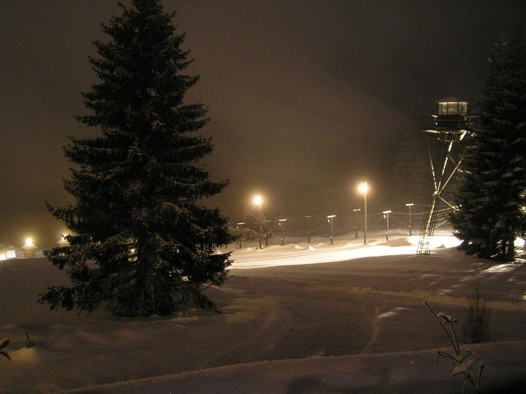 Hotel Alpska Vyhlidka Kvilda Buitenkant foto