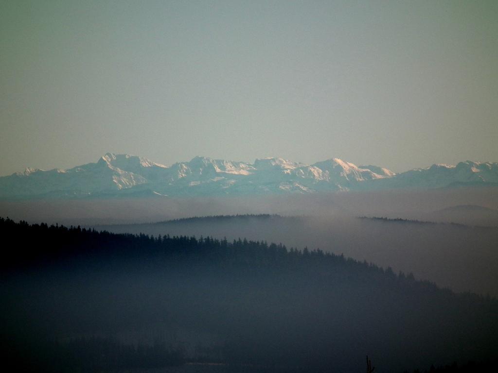 Hotel Alpska Vyhlidka Kvilda Buitenkant foto