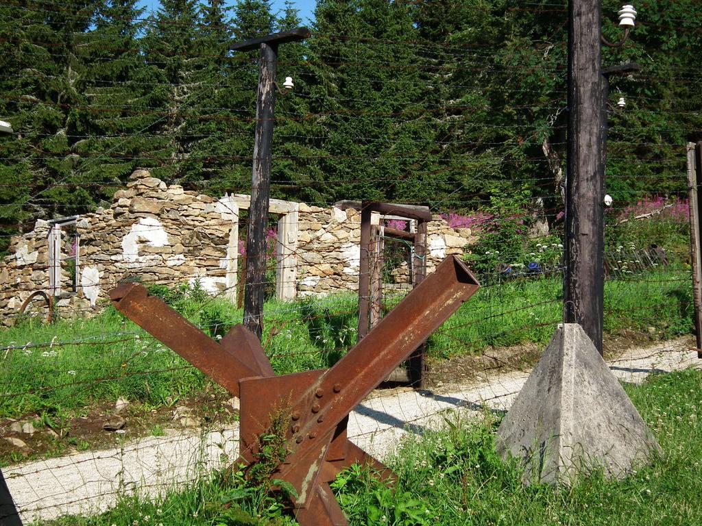 Hotel Alpska Vyhlidka Kvilda Buitenkant foto